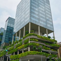 green facade blog post-two